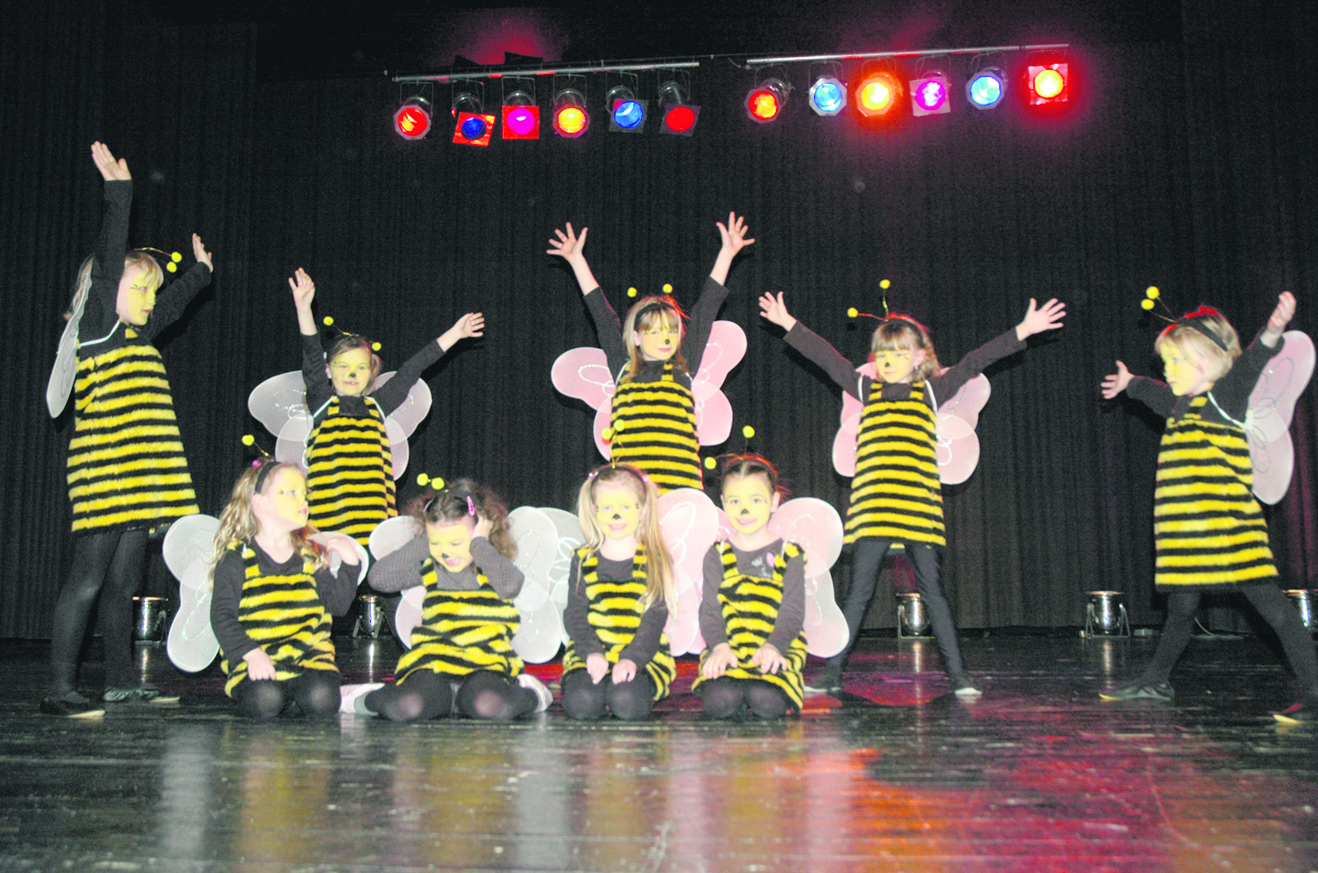 Auch kleine "Biene Majas" gehören zum Repertoire der Tanzturbine.