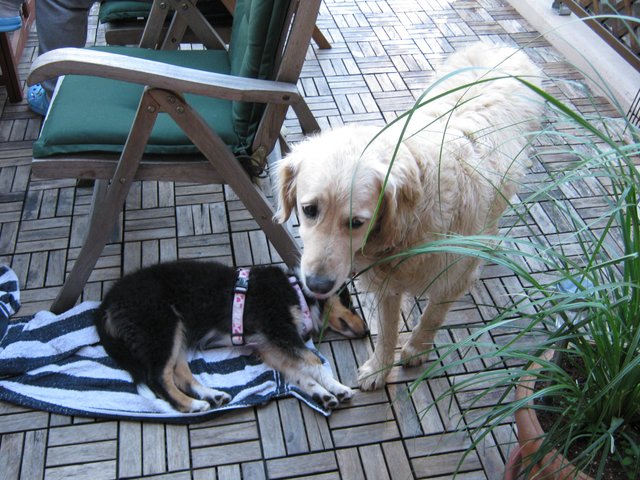 Psssssst, Flitze-Baby schläft schon!