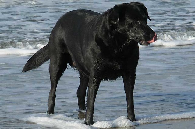 Foto © Jürgen Thoms