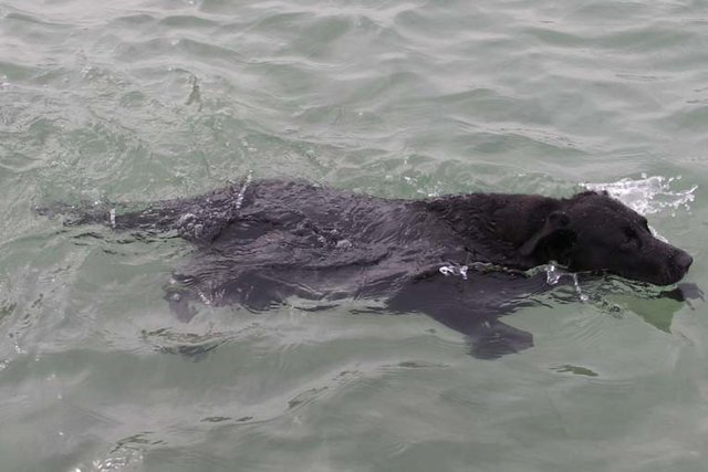 Foto © Jürgen Thoms