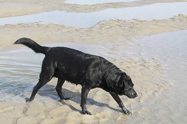 Foto © Jürgen Thoms