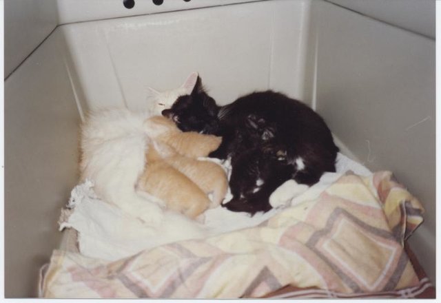 So ist es viel gemütlicher!!