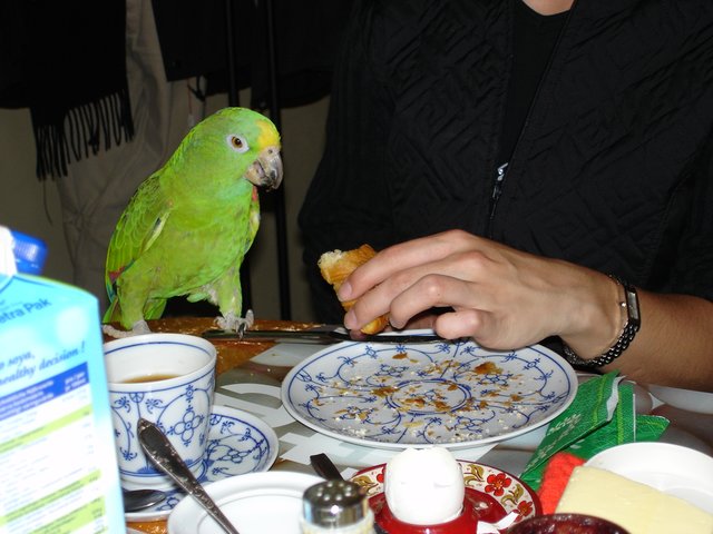 Wenn es schon Brötchen gibt, will ich auch etwas!