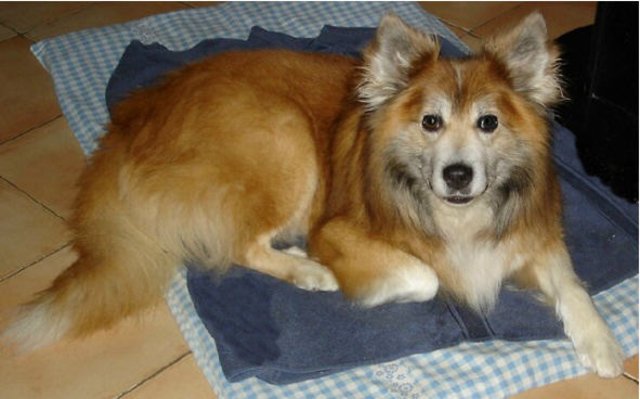 Schau ich so schön genug?