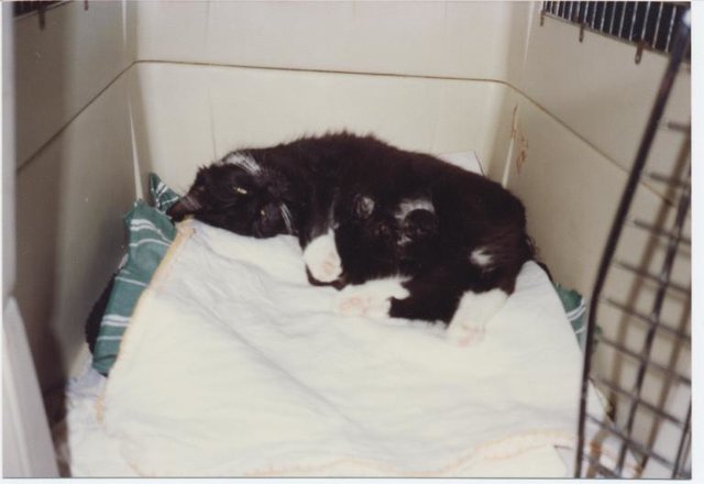 24.7.91 Geschafft!!!!!