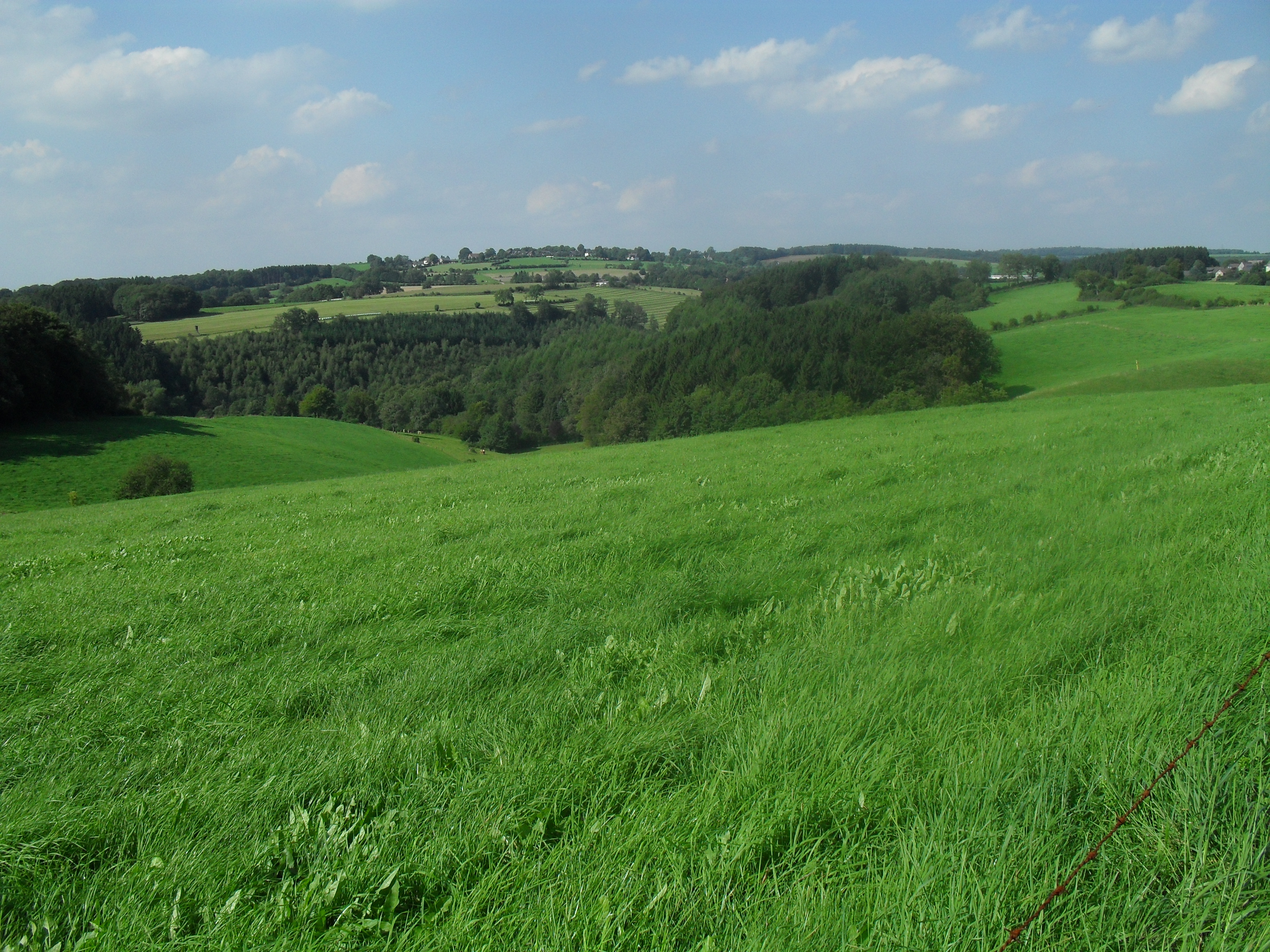 Landschaft bei Breckerfeld