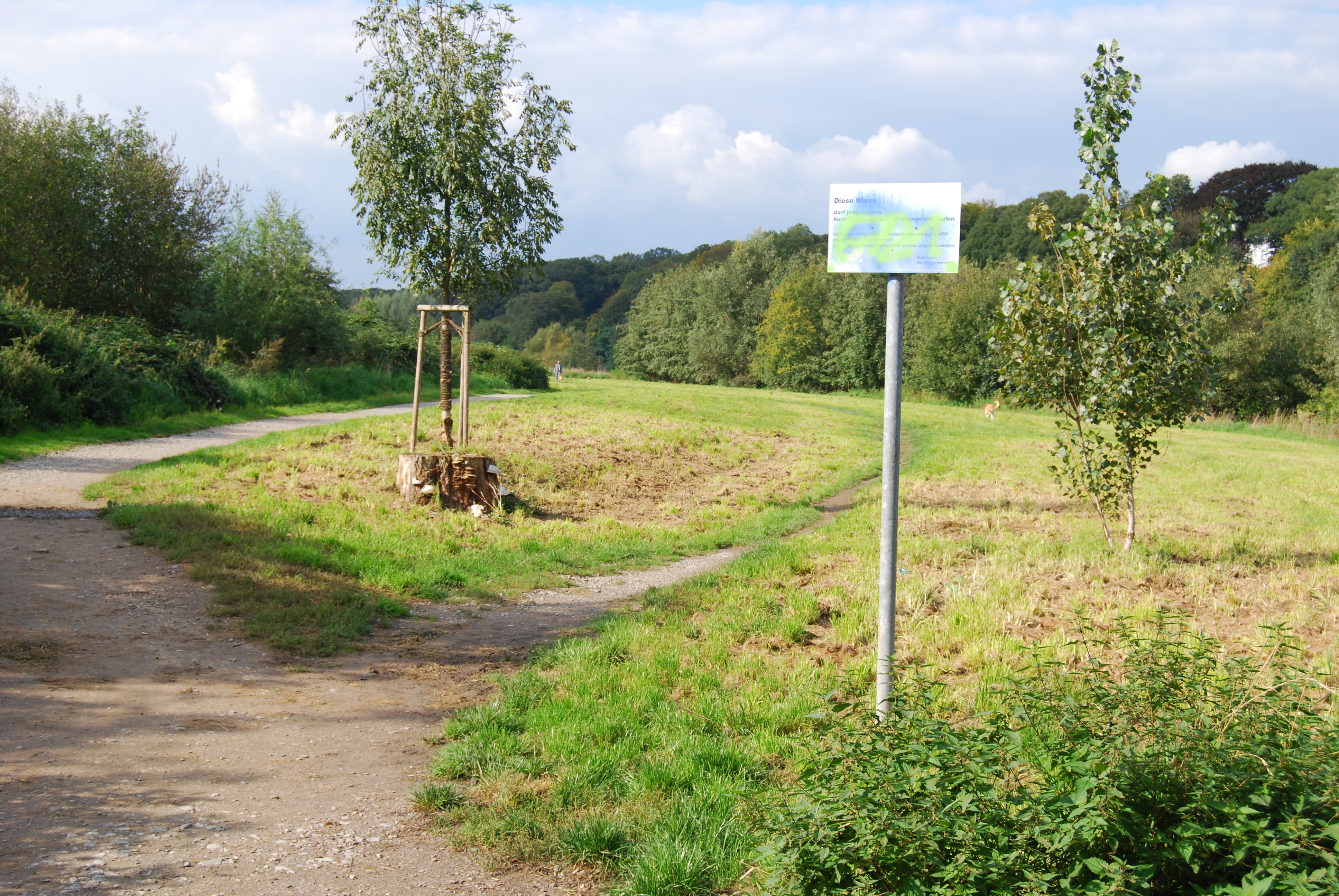 hier beginnt die Hundewiese