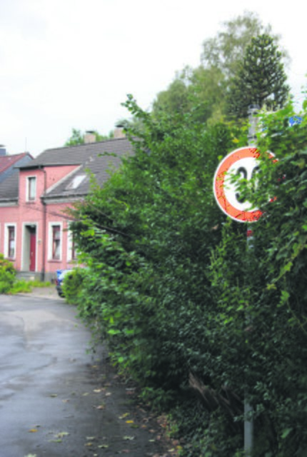 Es grünt so grün vom DB-Grundstück: Selbst die Straßenschilder sind am Rademachersweg kaum noch zu sehen. Foto: maschu