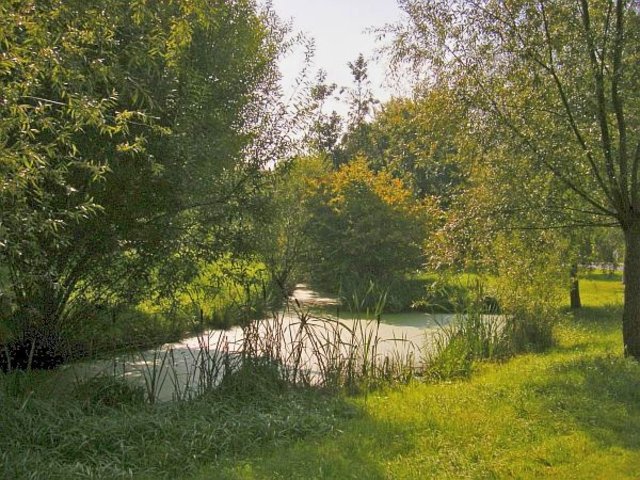 Und wieder unser Burggraben