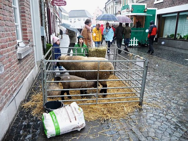 Gemeindefest für´s Gesäß, da Regen