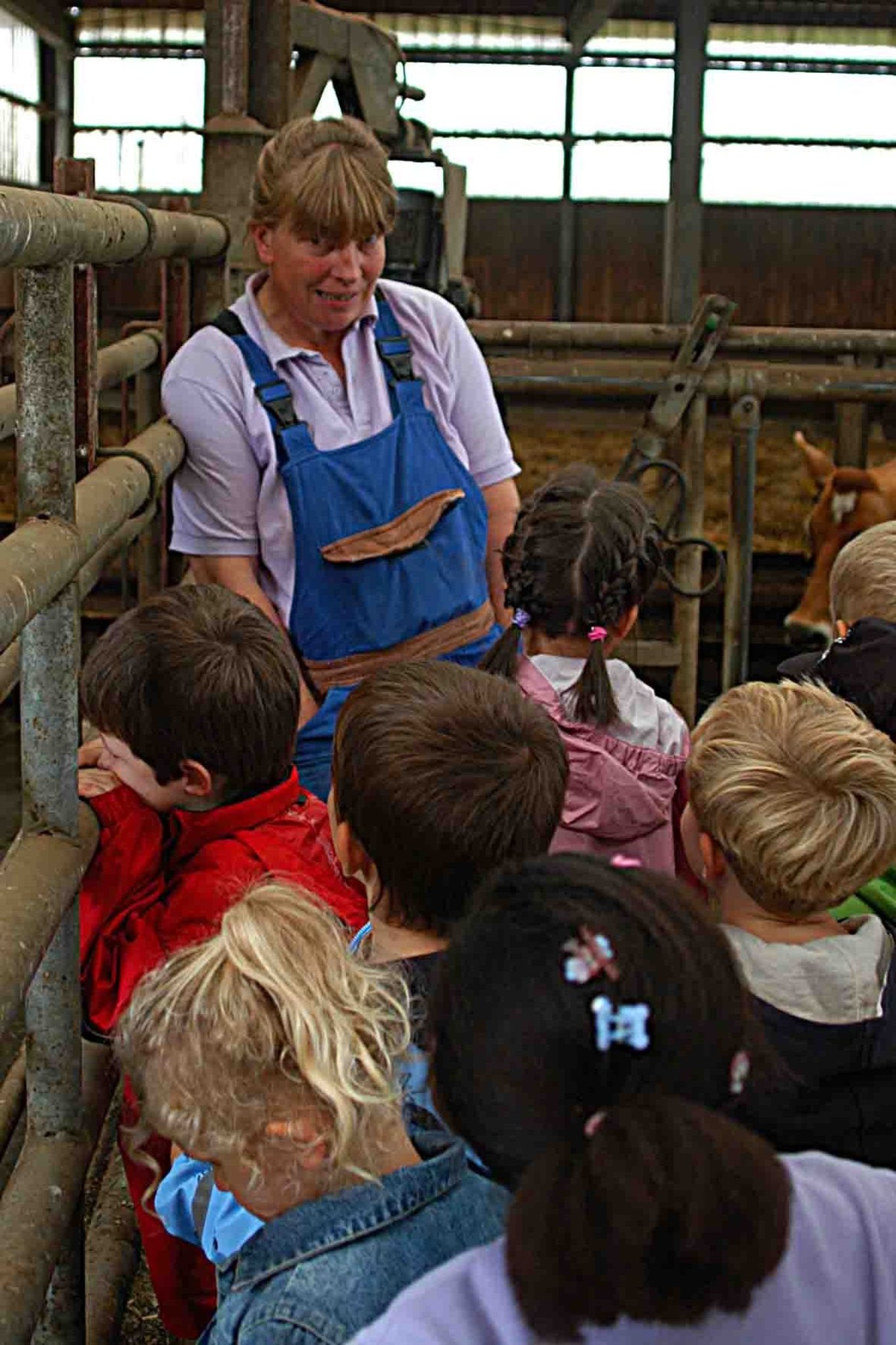 Kindergarten-Kinder auf dem Bauernhof - Rees