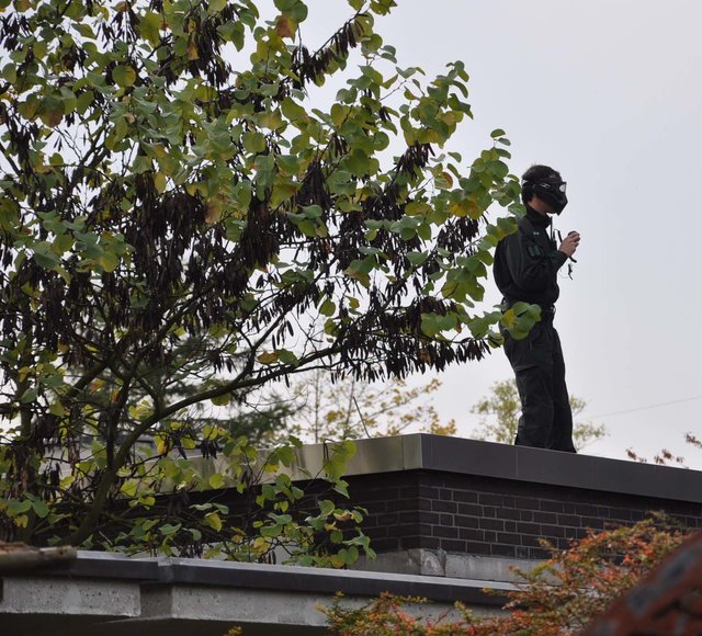 Das verwinkelte Schulgebäude verfügt über viele Flachdächer.