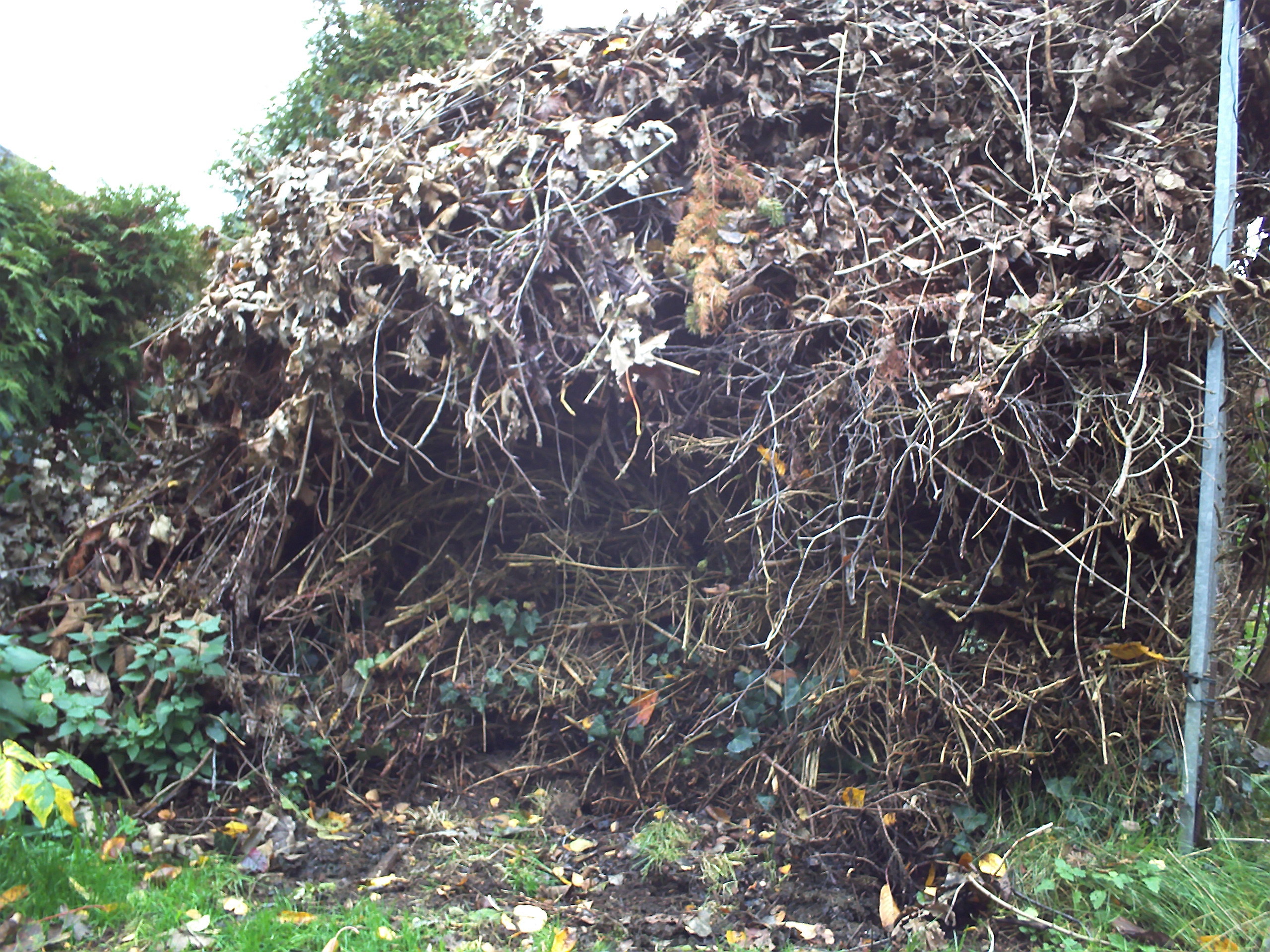 Holz und Reisig (Foto: GvM)