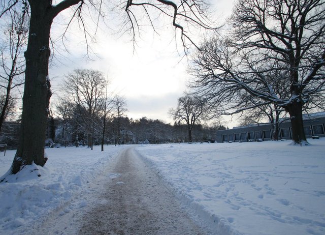 Unsere Alexanderhöhe- fast menschenleer