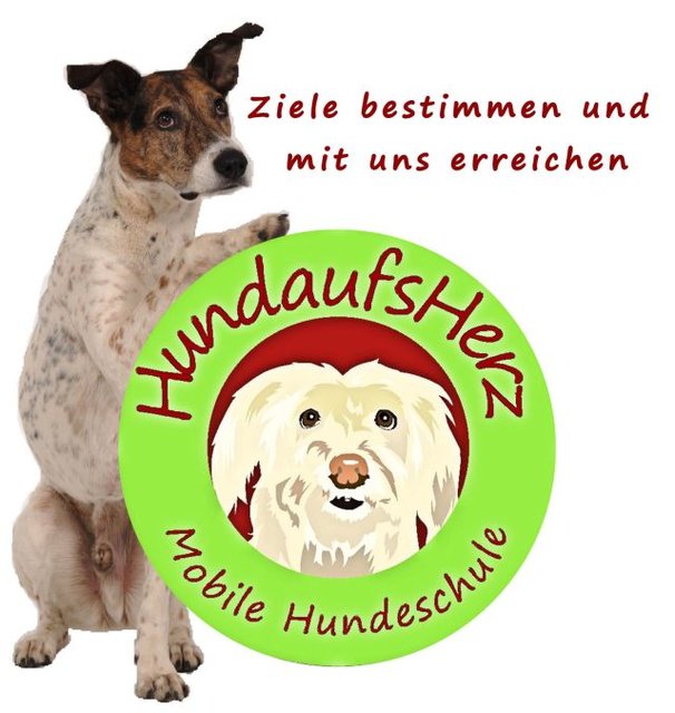 Hundeschule mit Filmtiertraining