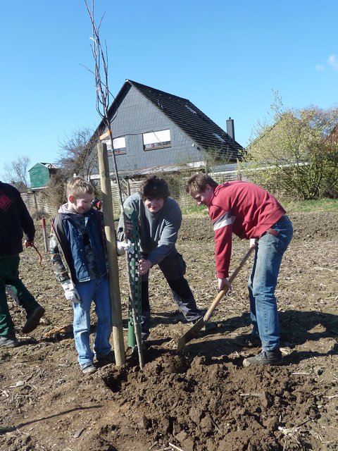 Malte, Pascal und Lukas packen an
