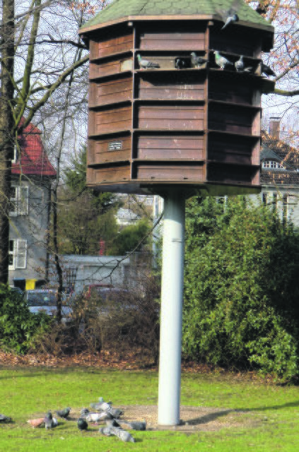 Das Taubenhaus im Goldbergpark in Buer. Foto: Privat
