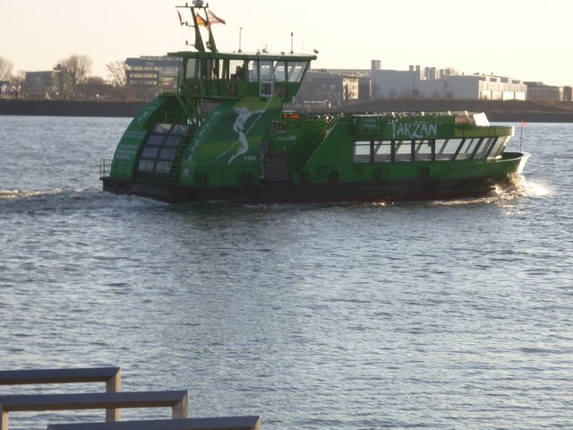 Ein "Bus" auf der Elbe: Fähre, nur noch von einer Person auf der Brücke geführt