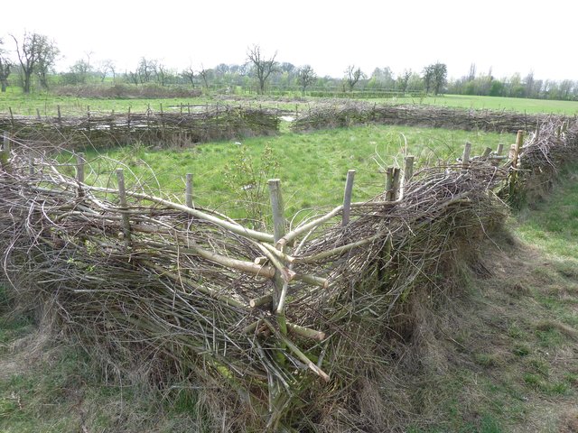 Beerenobstgarten mit Weiden-Flechtzaun