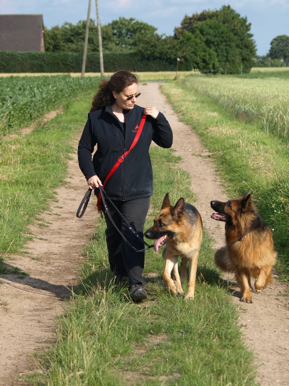 Orientierung von zwei Hunden zeitgleich Akir und Ondra