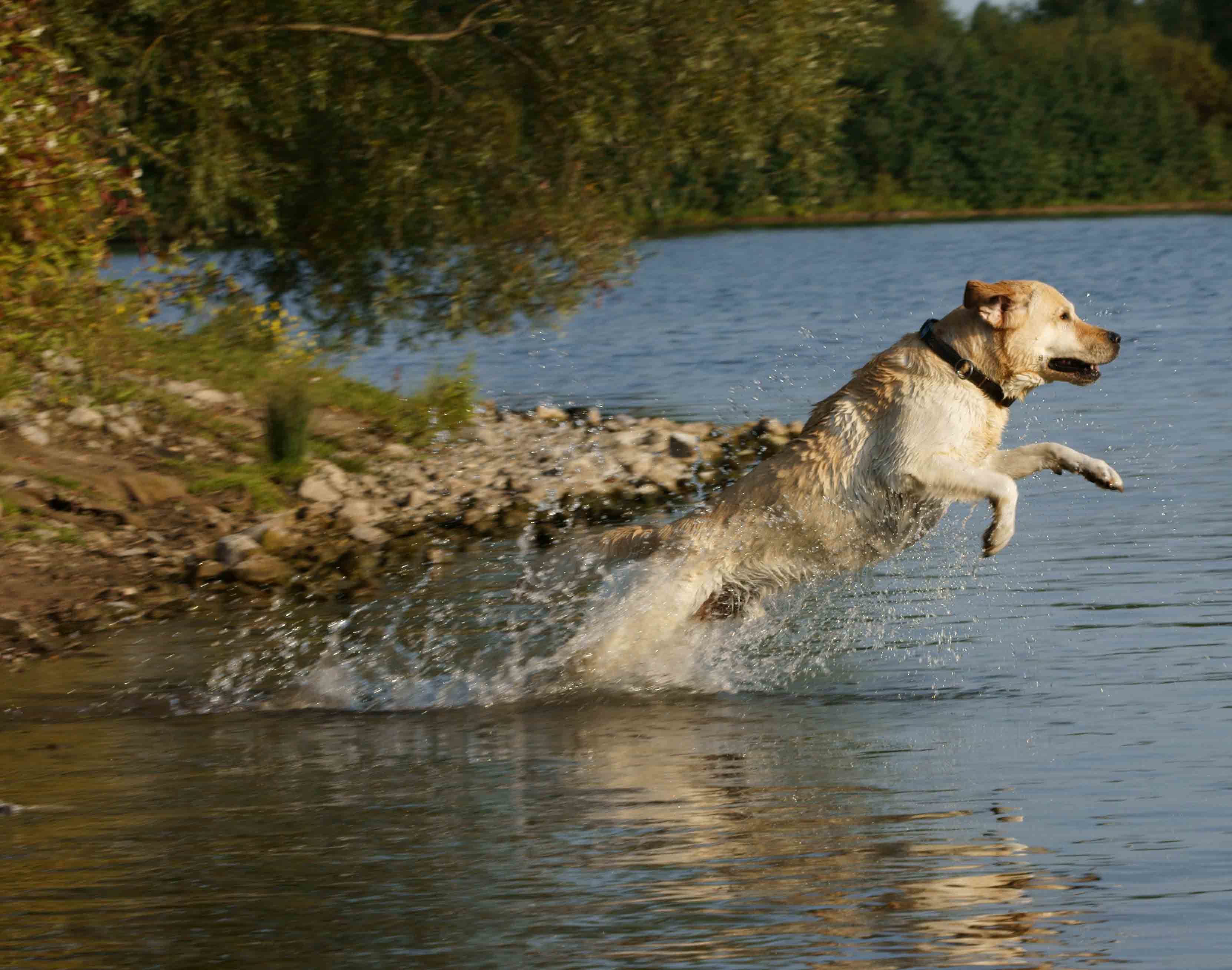 ist der Sprung Rekord verdächtig? - Foto erstellt von einer lieben Freundin (Foto: http://www.bs-fotodesign.de/)
