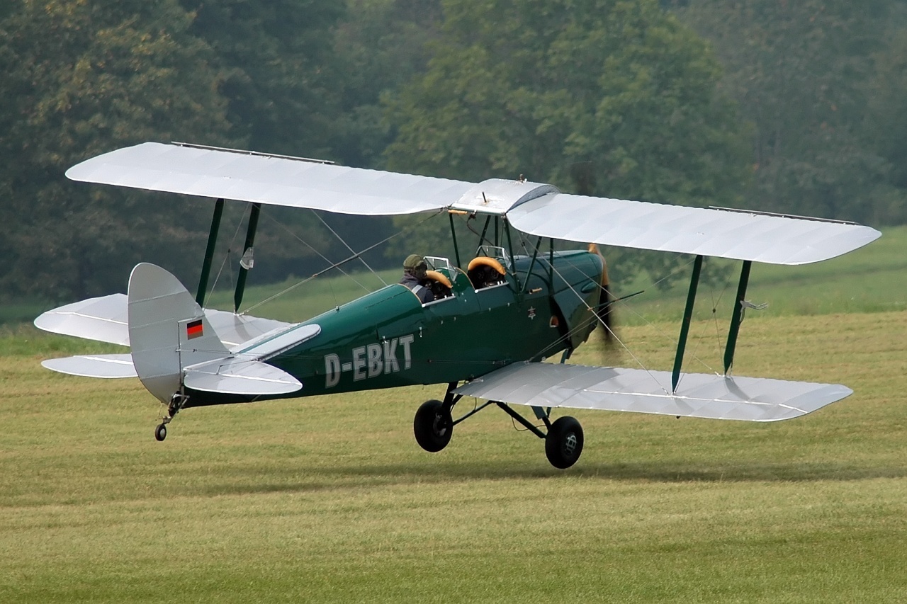 Sieht leicht aus, ist aber nicht einfach: Eine Tiger Moth aus den 1930er Jahren landet in Dorsten.