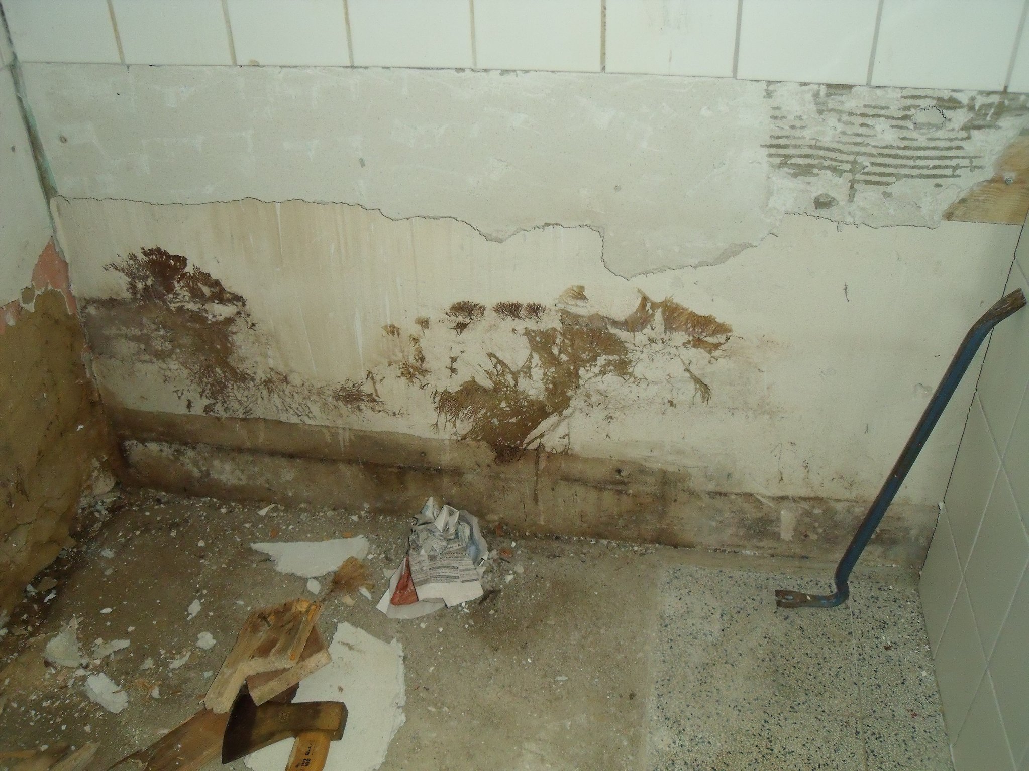 Feuchte Keller! - Dortmund-Süd