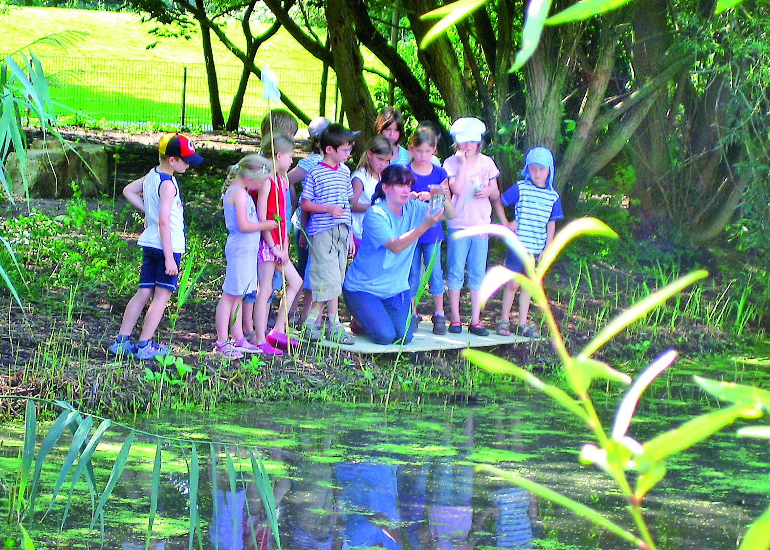 Spannendes können Kinder im Naturkundemuseum erleben.