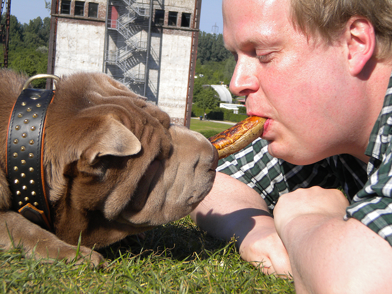 Wer seinen Hund liebt, der teilt alles mit ihm, auch die Grillwurst.