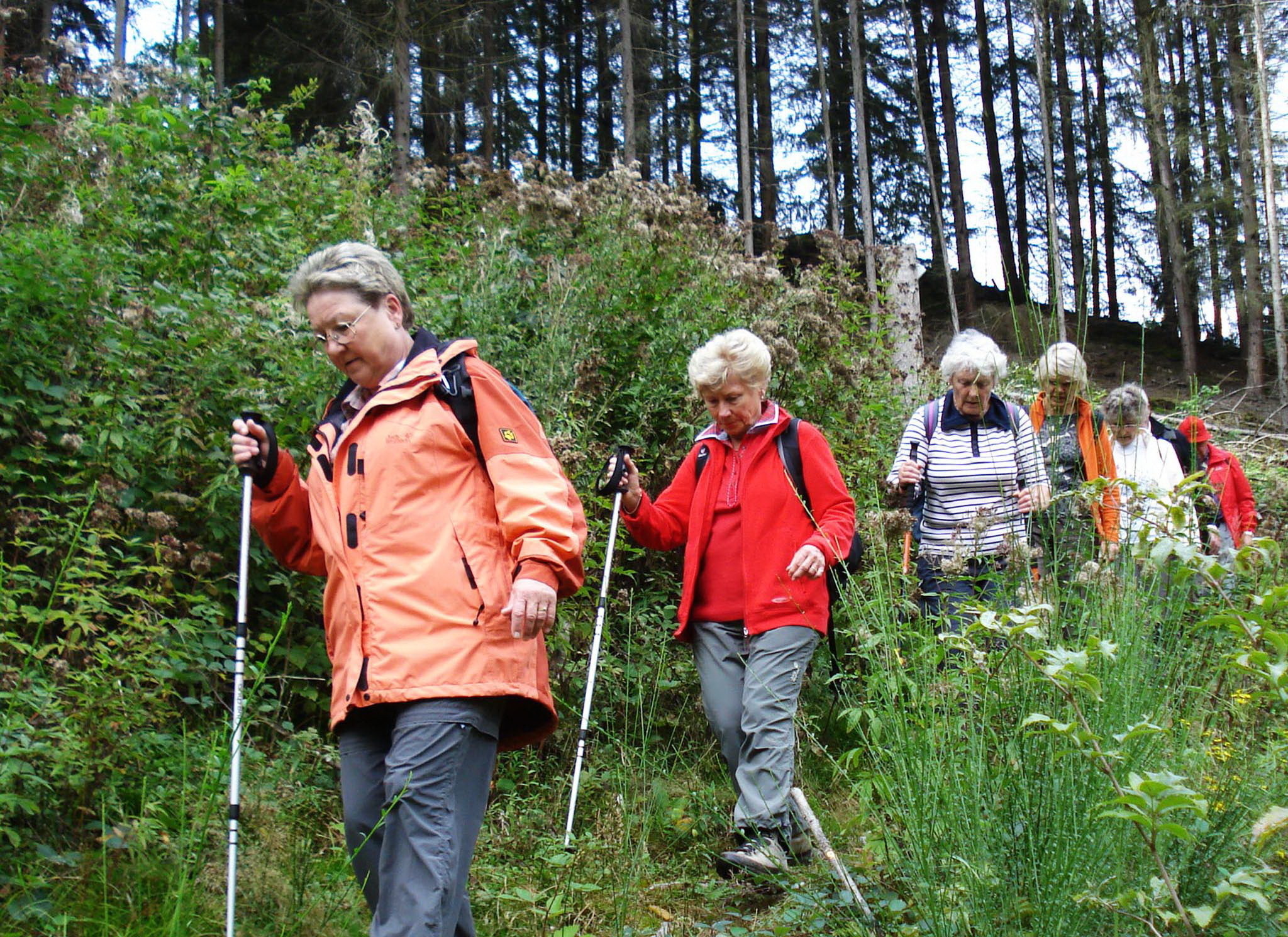 Wanderung im Hunsrück