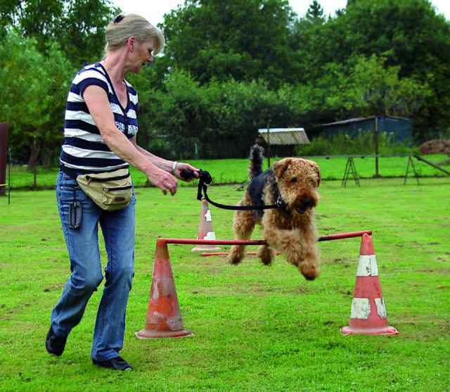 Auf dem Hindernisparcours zeigt sich die Harmonie zwischen Vier- und Zweibeinern. | Foto: privat