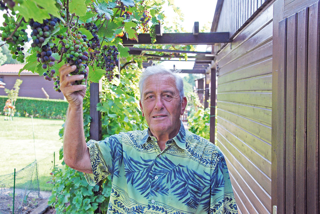 Wilfried Rüschenschmidt ist Gartenobmann des Kleingärtnervereins Ruhrblick Heven. Foto: Walter Demtröder