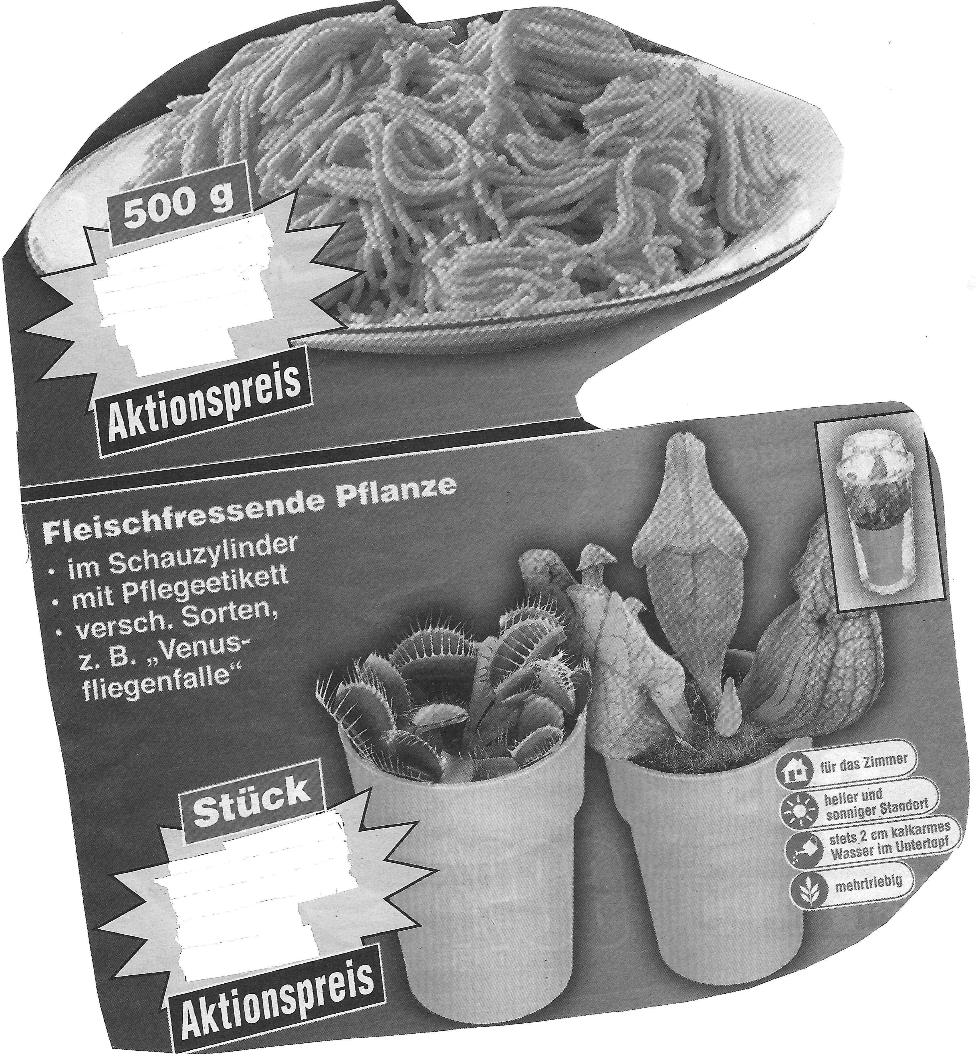 Das passende Angebot für die fleischfressende Pflanze: Hackfleisch!