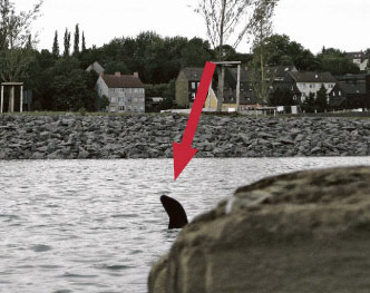 Das Bild schickte uns ein Leser, der Freitagabend (22. Juli) am See spazieren ging. Es löste jede Menge Spekulationen aus.