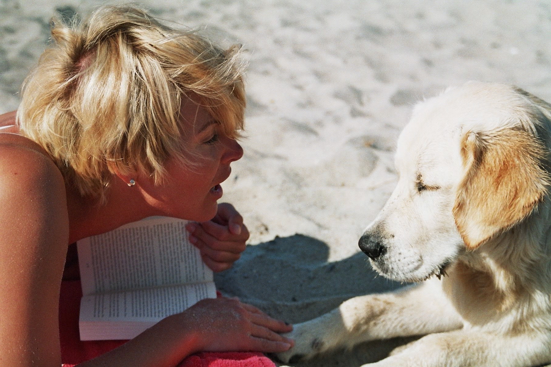 Hund 1: Andre Stueckradt schickte dieses Strand-Foto mit Hund Jerry-Lee