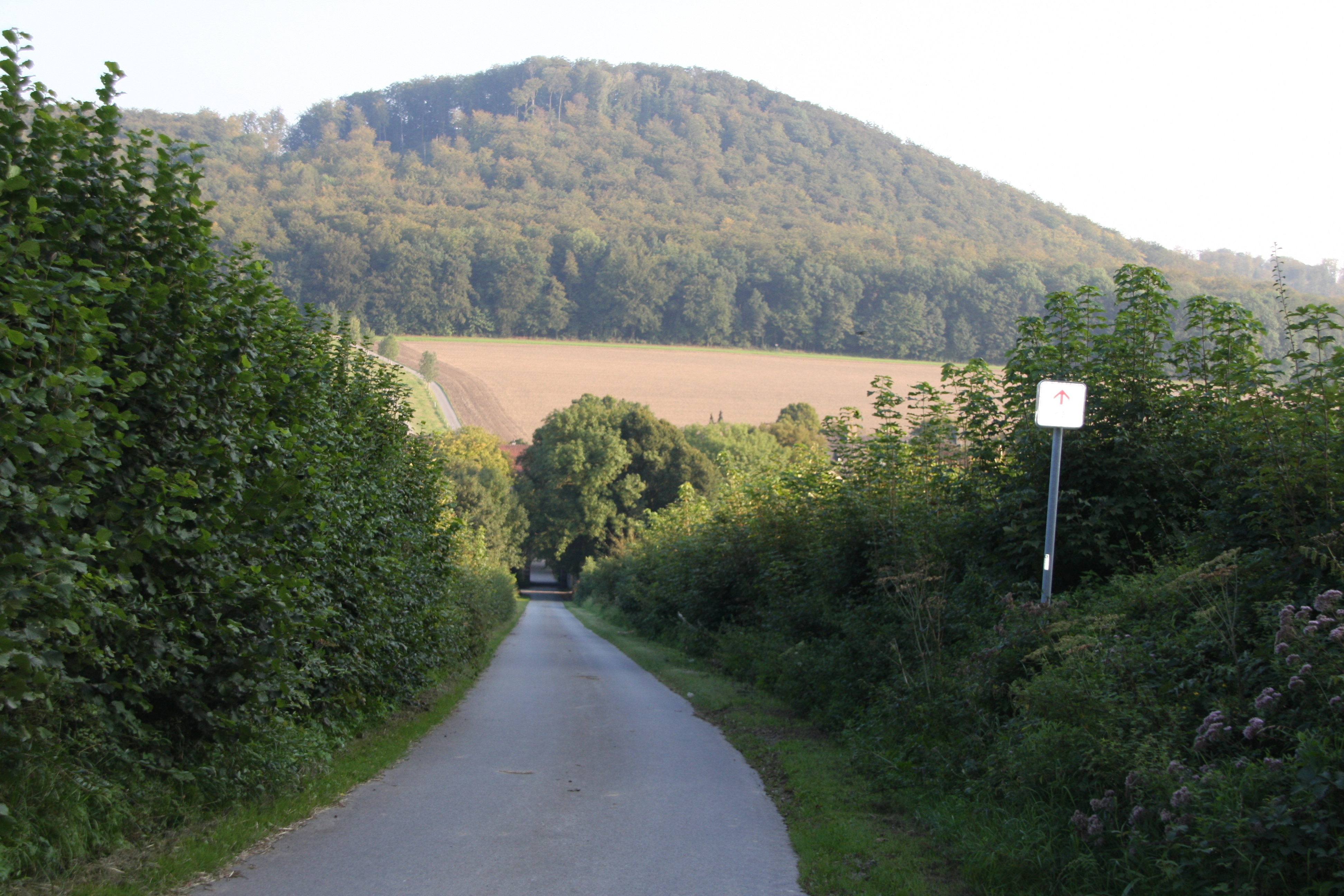 Burgberg in Wocklum