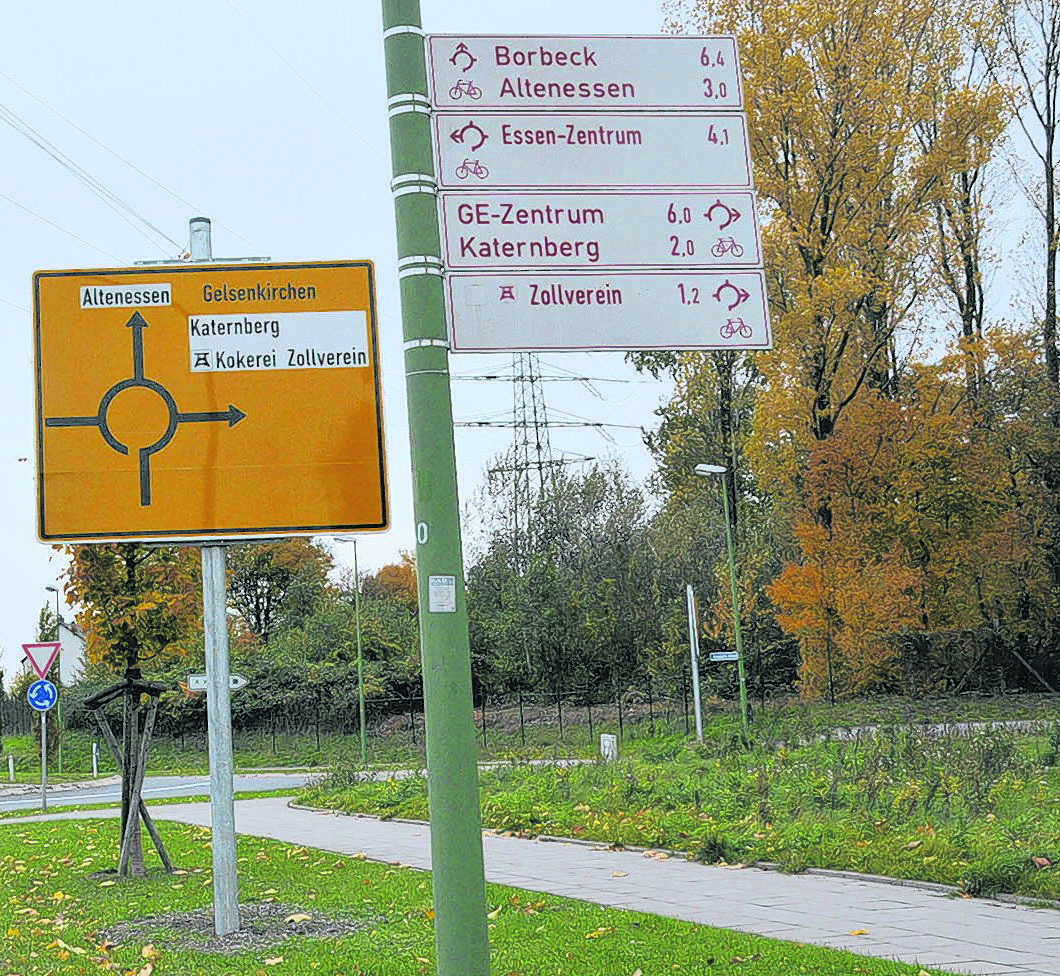 Pappeln gibt es viele rund um den Erlenkampsweg in Stoppenberg. Einige werden vielleicht gefällt.