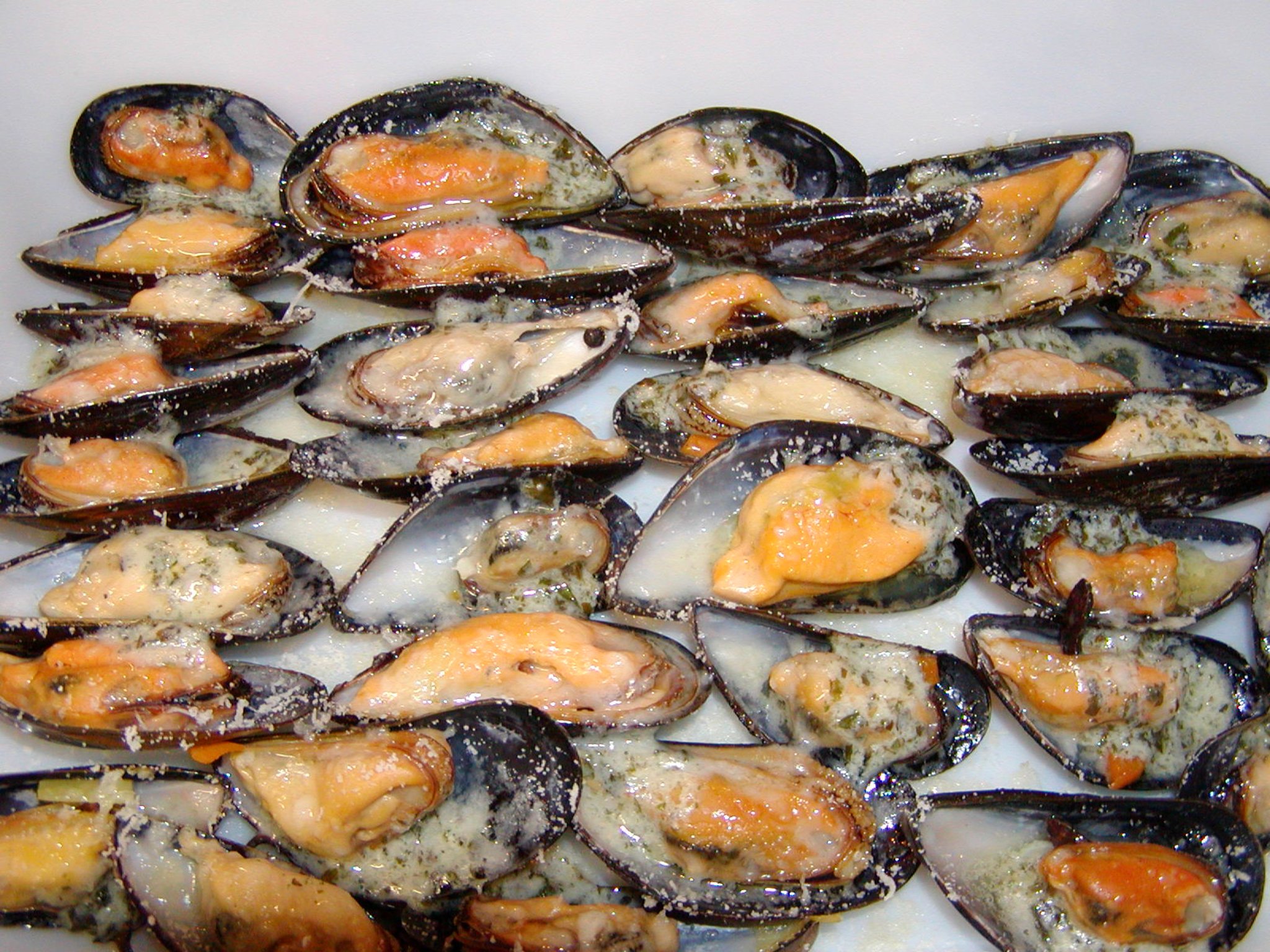 Muscheln aus dem Rohr - Langenfeld (Rheinland)