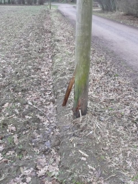 Nur die Strommasten halten den Landwirt noch davon ab, bis an die Straßenkante zu pflügen und den Randstreifen völlig zu beseitigen! (Schermbeck, An der Vogelstange, Frühjahr 2011)