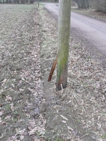 Nur die Strommasten halten den Landwirt noch davon ab, bis an die Straßenkante zu pflügen und den Randstreifen völlig zu beseitigen! (Schermbeck, An der Vogelstange, Frühjahr 2011)