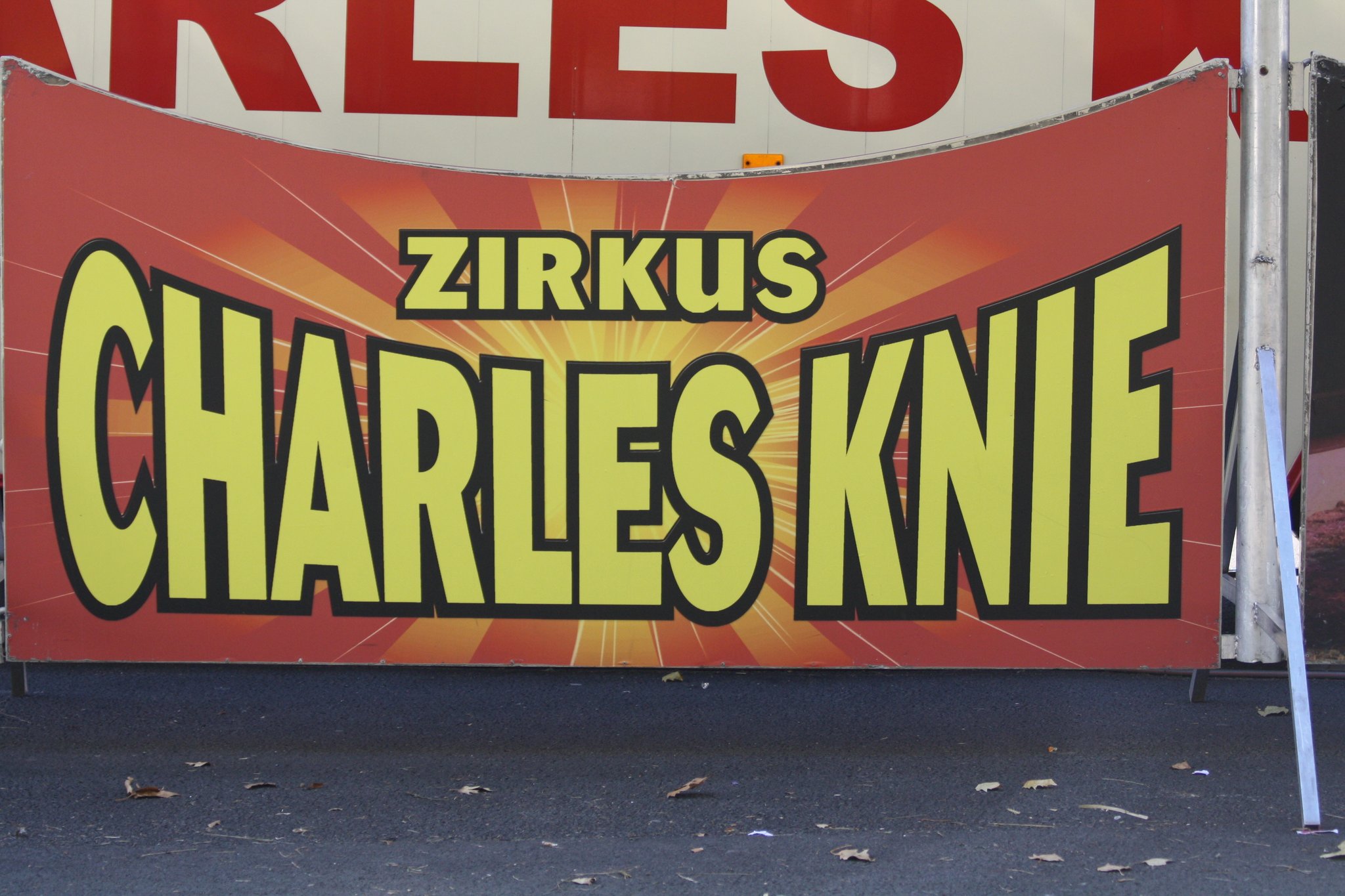 Raubtierprobe Im Schweizer Zirkus Charles Knie Hagen