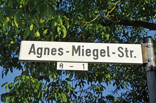 Soll der Name geändert werden oder nicht? Foto: EK