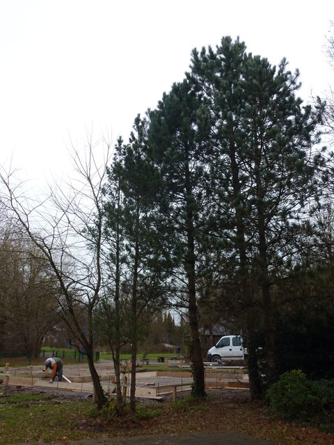 Der Neubau am 8.12.2011 der neuen Vogelvoliere im Freizeitzentum Biebertal Lendringsen.