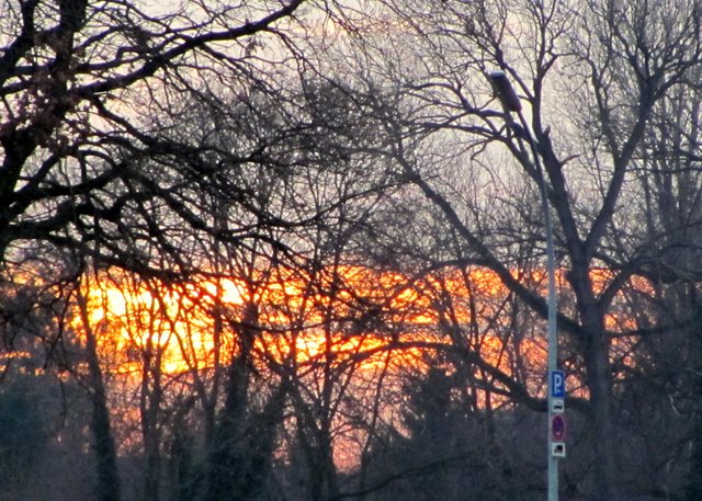 Auf dem Weg zum Kamper Berg