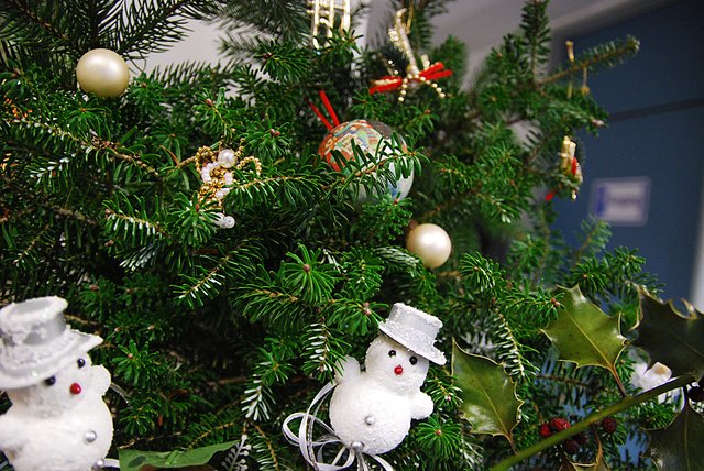 Foto: Frank Schneidersmann