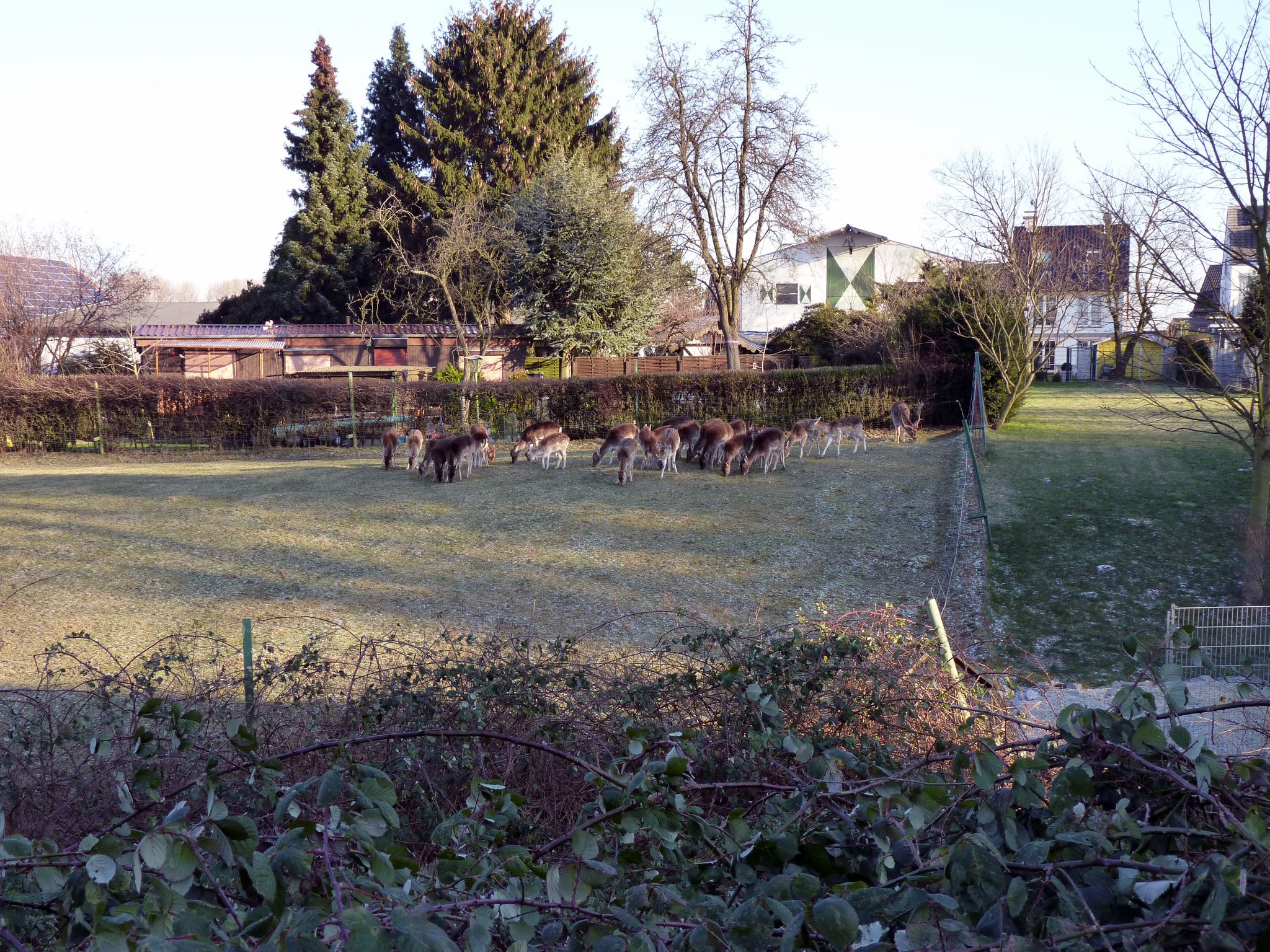Momentaufnahmen im Hexbachtal (Dümpten) - Mülheim an der Ruhr