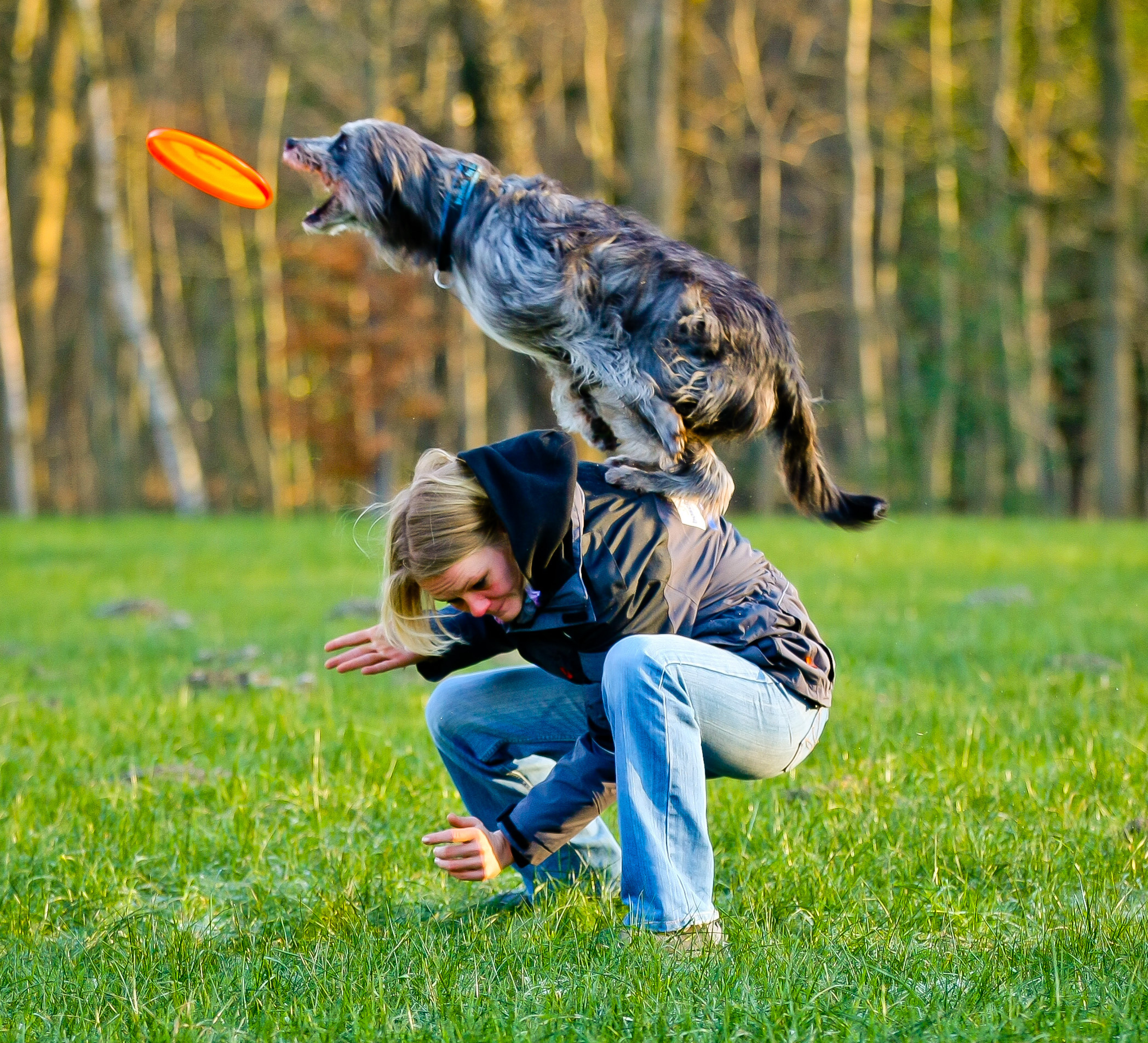 Frisbee-Spielen - kein Problem. Hündin Emma kann einfach alles. Foto: Schütze