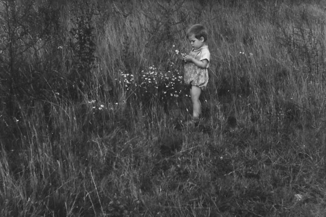 Ein paar Blümchen für Mama.