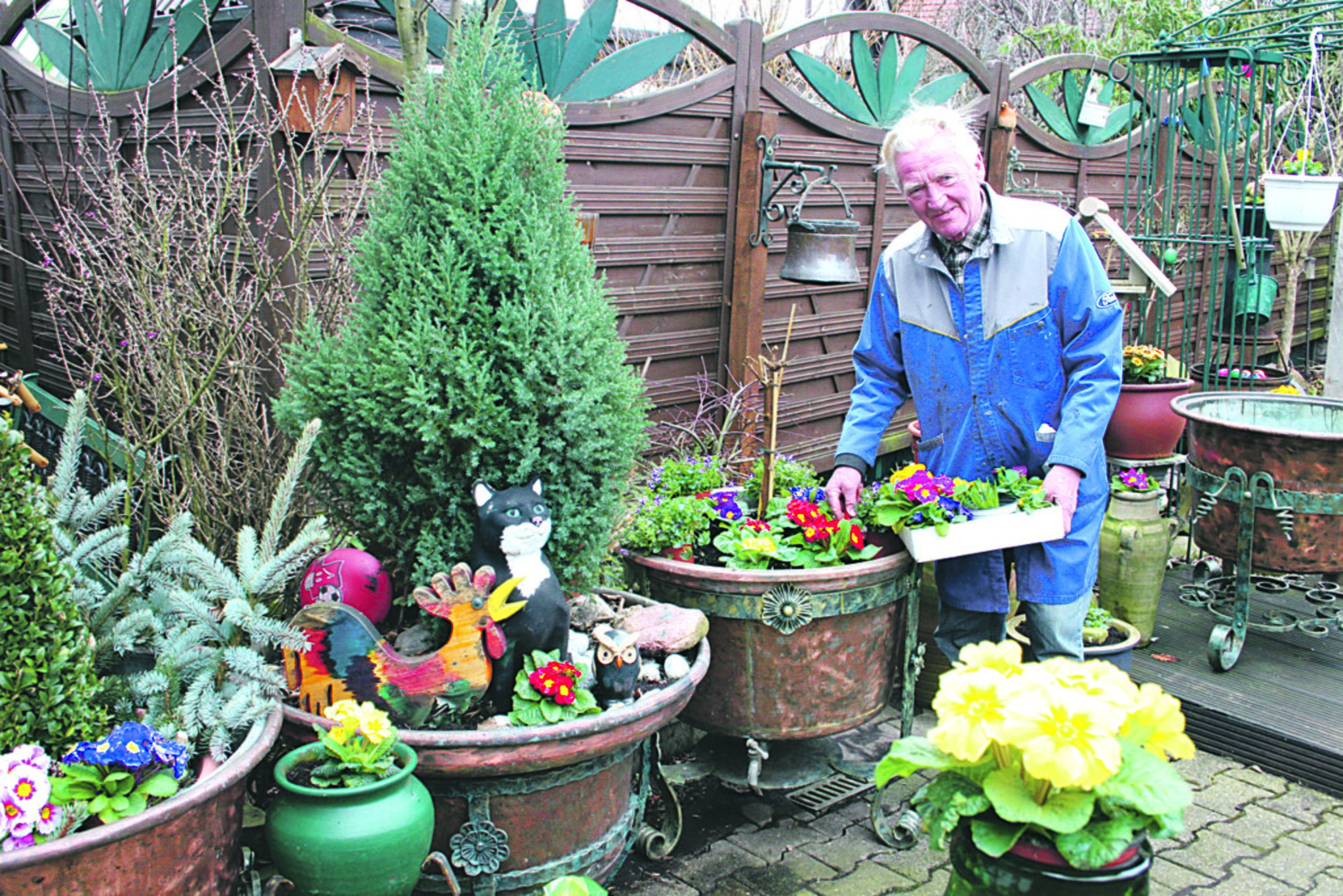 Bunte Frühlingsblumen an der Grabenstraße Hattingen