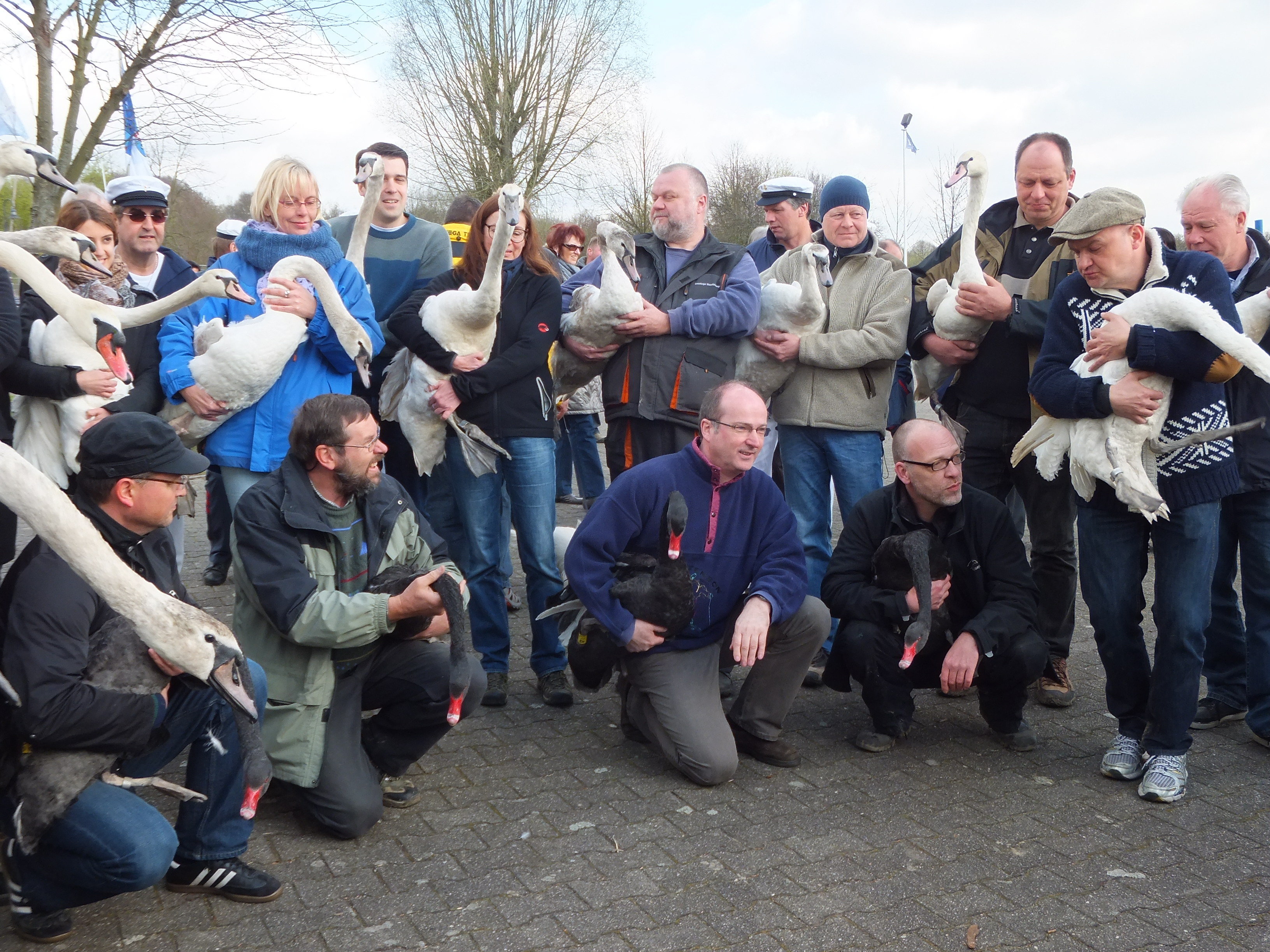 Gruppenfoto mit den Schwänen.